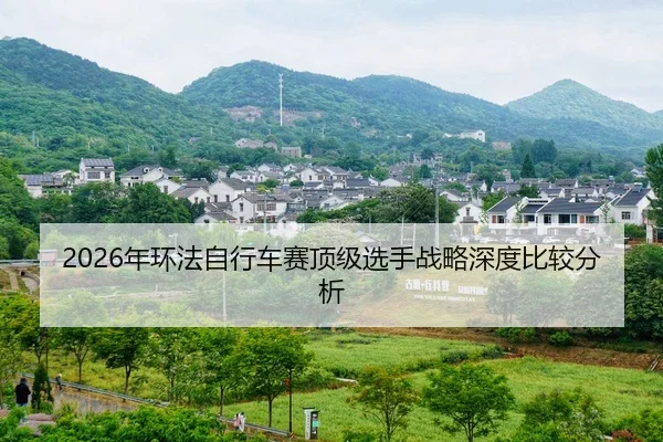 nian-huan-fa-zi-xing-che-sai-ding-ji-xuan-shou-zhan-lve-shen-du-bi-jiao-fen-xi-2-736.jpg