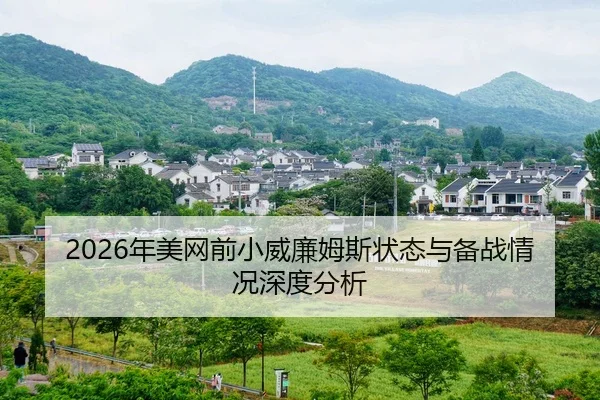 nian-mei-wang-qian-xiao-wei-lian-mu-si-zhuang-tai-yu-bei-zhan-qing-kuang-shen-du-fen-xi-2-165.jpg