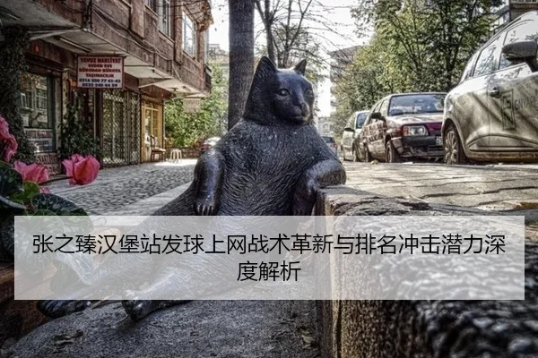 zhang-zhi-zhen-han-bao-zhan-fa-qiu-shang-wang-zhan-shu-ge-xin-yu-pai-ming-chong-ji-qian-li-shen-du-jie-xi-2-489.jpg