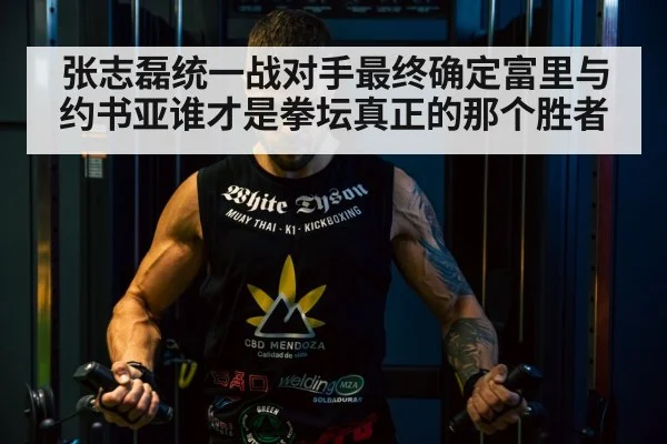 Tyson Fury boxing