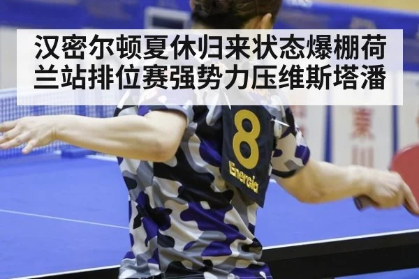 汉密尔顿夏休归来状态爆棚荷兰站排位赛强势力压维斯塔潘